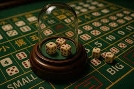 Live casino player interface showing bet controls and chat